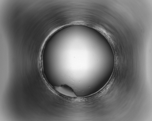 X0000095920808200801251029