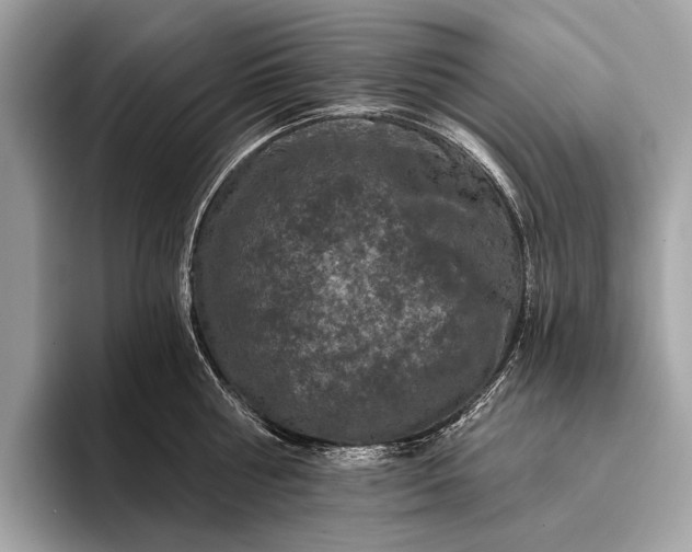 X0000095920810200801251028