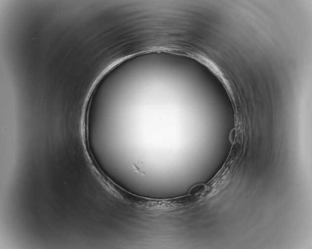 X0000095920811200801251028