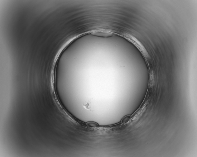 X0000095920812200801251028