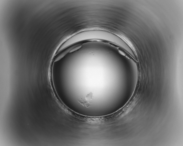 X0000095920813200801251028