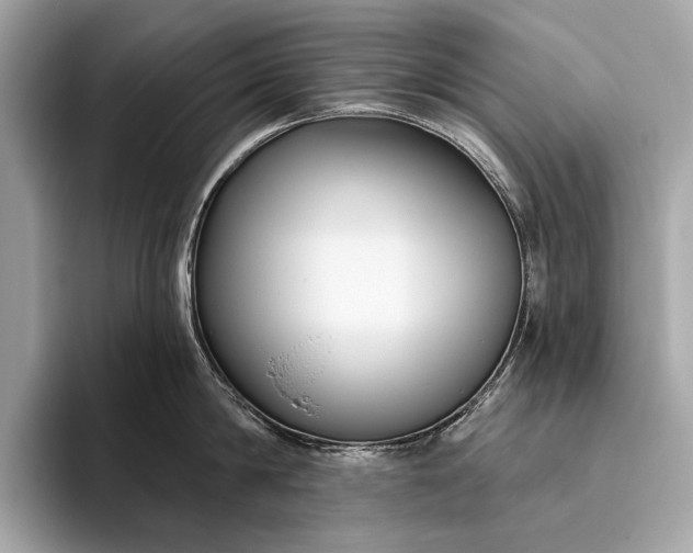 X0000095920814200801251028