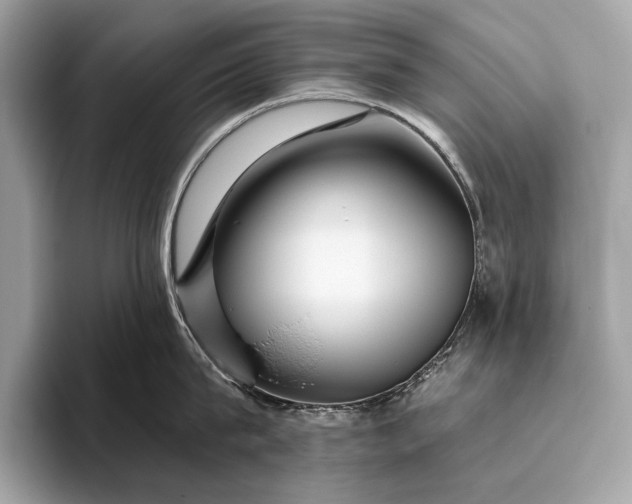 X0000095920815200801251028