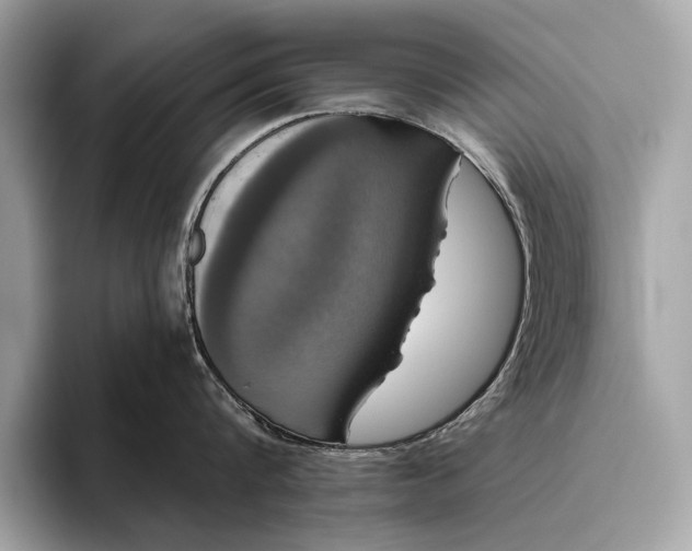 X0000095920816200801251028