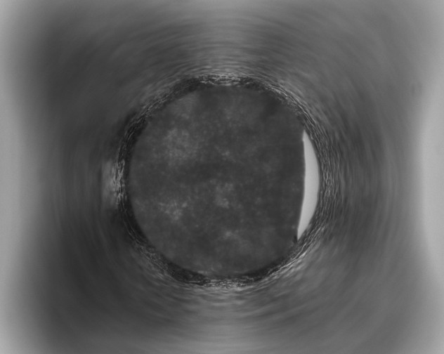 X0000095920818200801251028