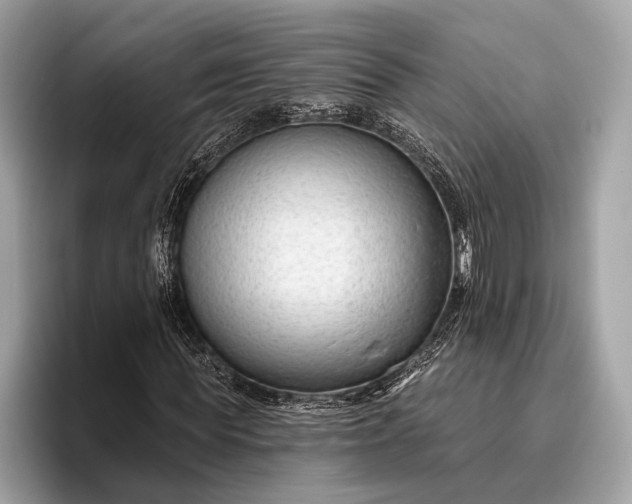 X0000095920819200801251028