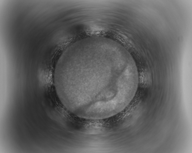 X0000095920820200801251028