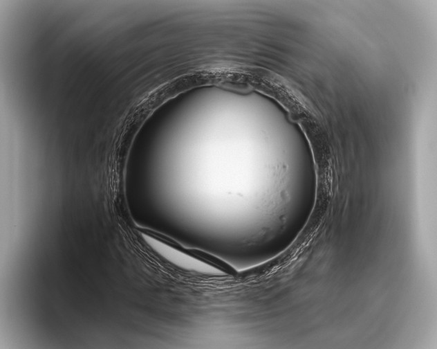 X0000095920821200801251028