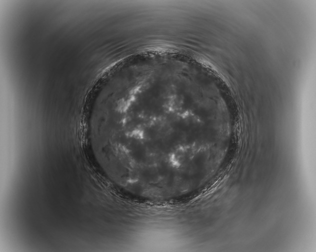 X0000095920822200801251028