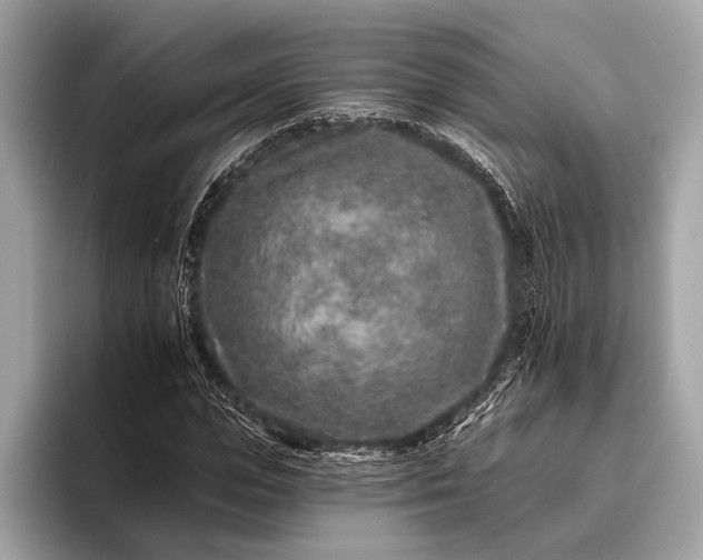 X0000095920823200801251028