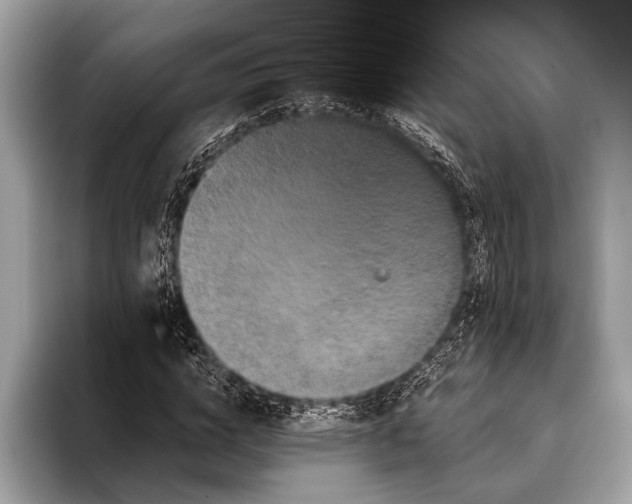 X0000095920824200801251028