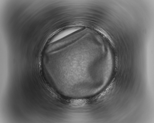 X0000095920826200801251028