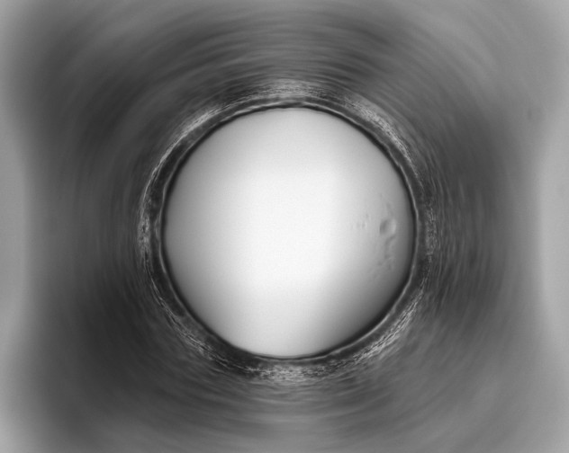 X0000095920827200801251028