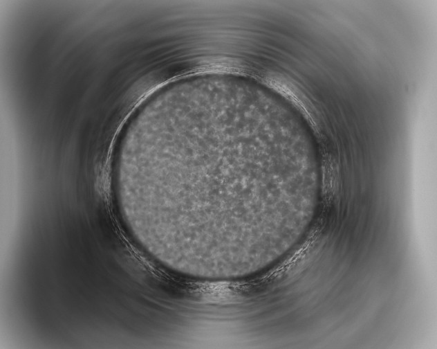 X0000095920828200801251028