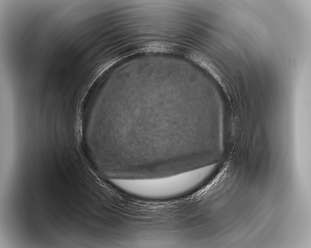 X0000095920829200801251028