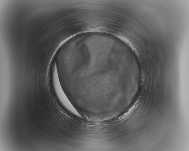 X0000095920830200801251028