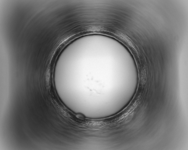 X0000095920831200801251028