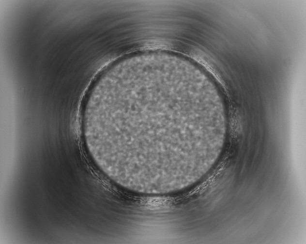 X0000095920832200801251028