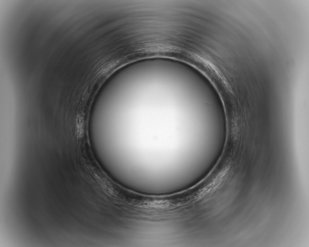 X0000095920833200801251028