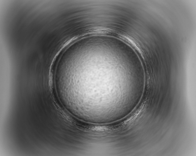 X0000095920835200801251028