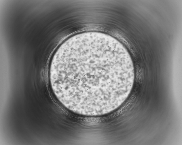 X0000095920836200801251028