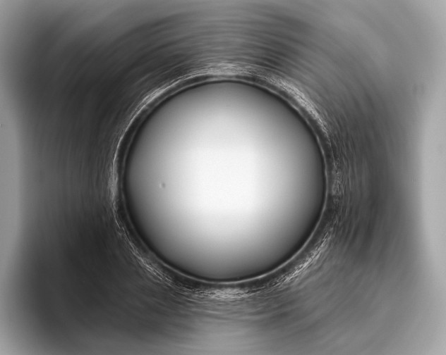 X0000095920837200801251028