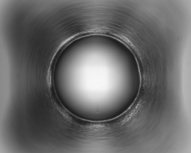 X0000095920838200801251028