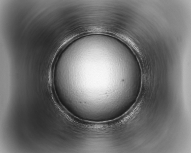 X0000095920839200801251028