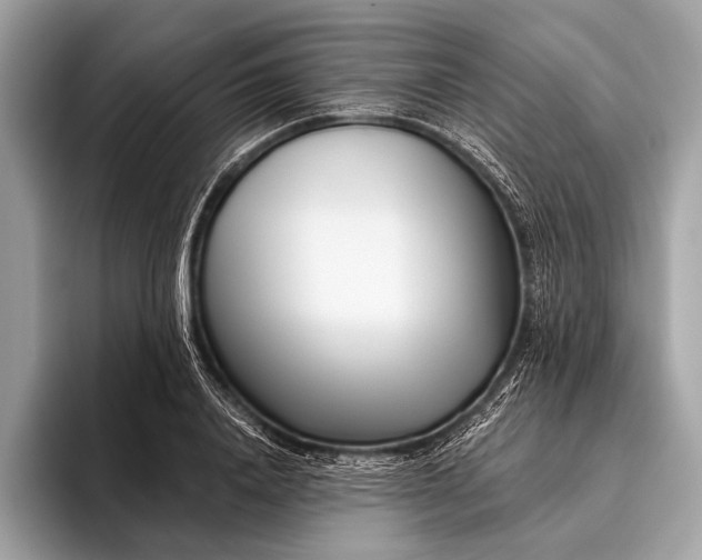 X0000095920840200801251028