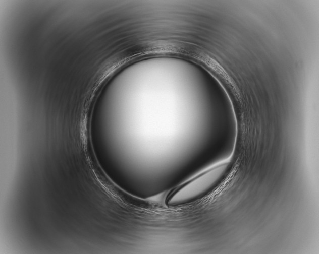 X0000095920842200801251028