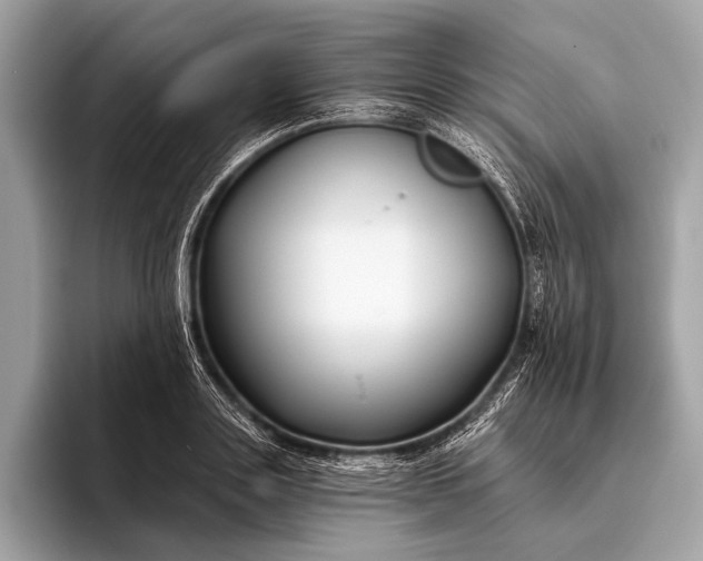 X0000095920843200801251028