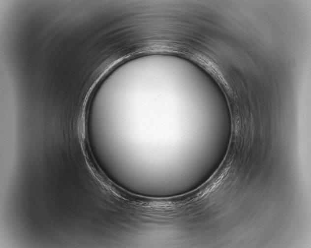 X0000095920844200801251028