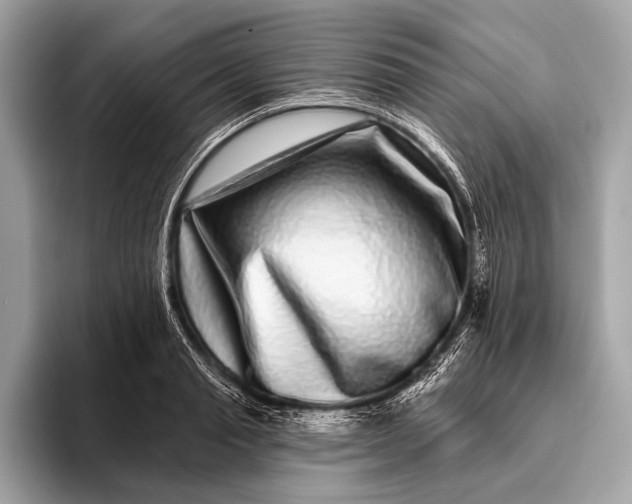 X0000095920845200801251028