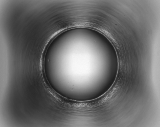 X0000095920846200801251028