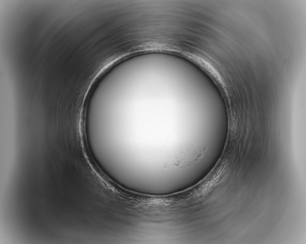 X0000095920847200801251028