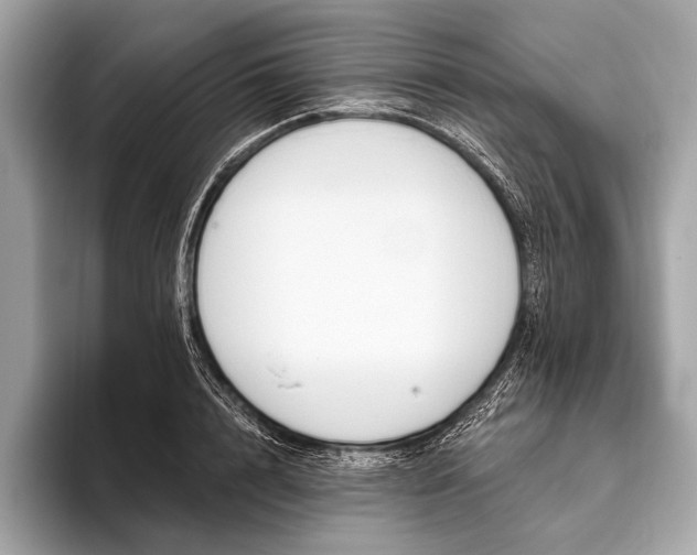 X0000095920848200801251028