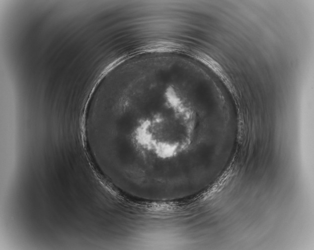 X0000095920850200801251028