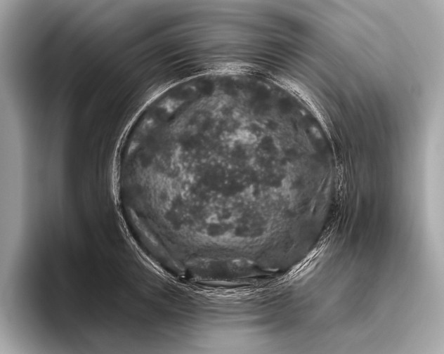 X0000095920851200801251028