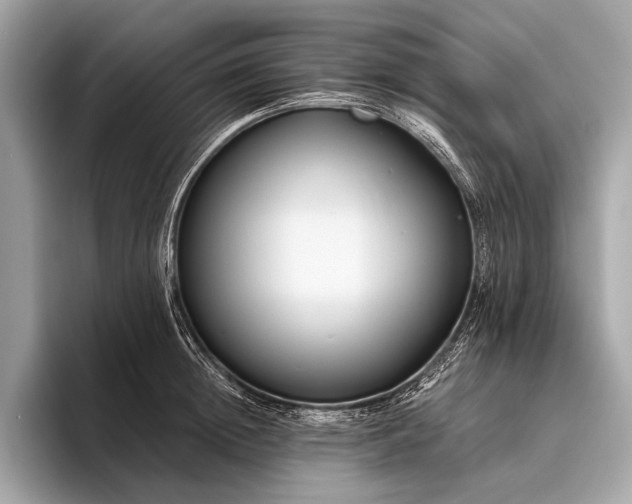 X0000095920852200801251028