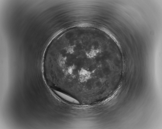 X0000095920853200801251028