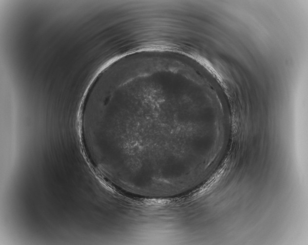 X0000095920854200801251028