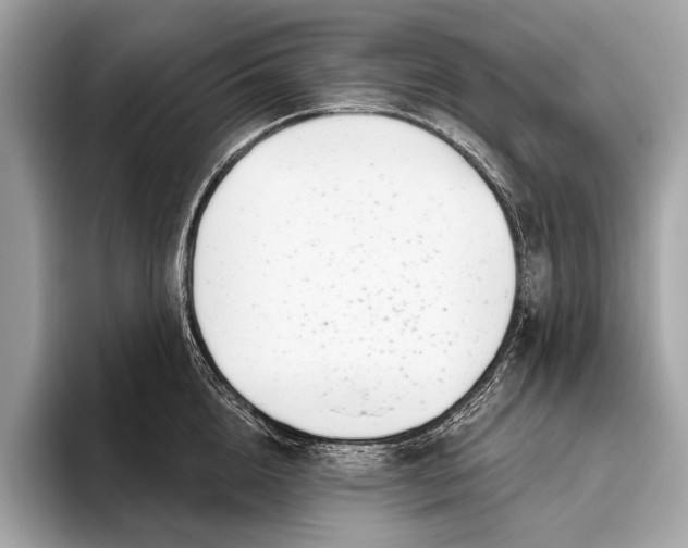 X0000095920856200801251028