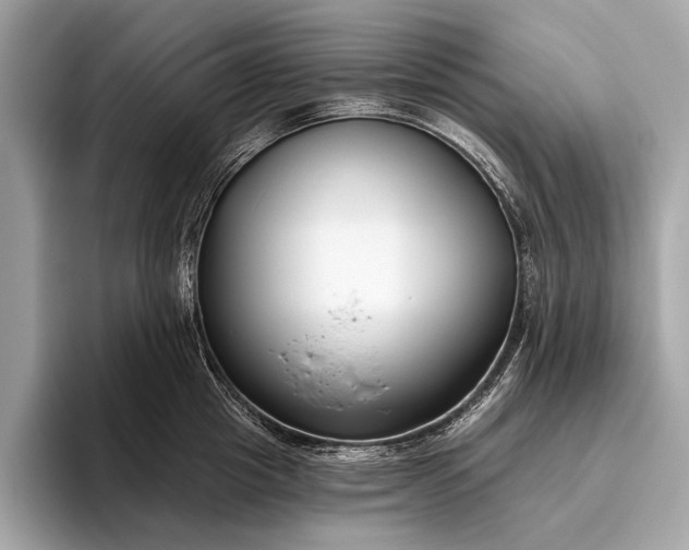 X0000095920857200801251028