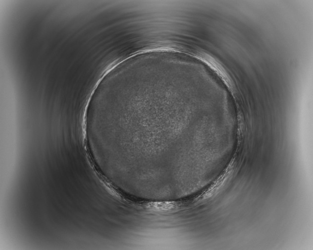 X0000095920858200801251028