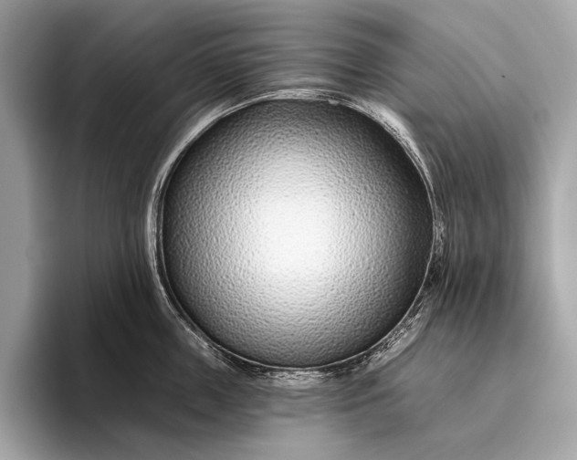 X0000095920859200801251028