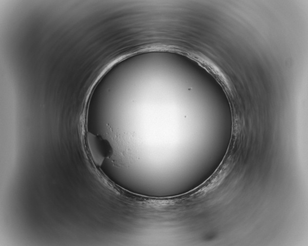 X0000095920860200801251028