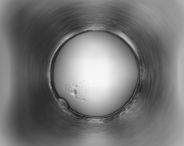 X0000095920861200801251028