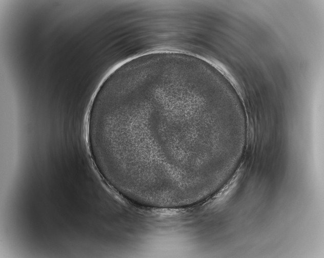 X0000095920862200801251028