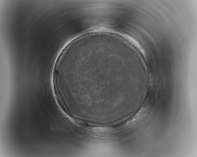 X0000095920863200801251028