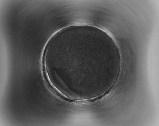 X0000095920864200801251028